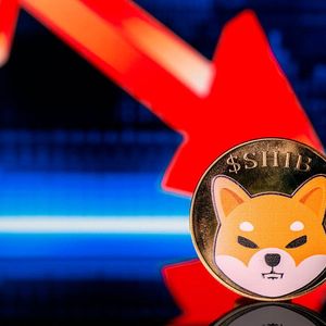 Shiba Inu (SHIB) Unexpected Drop Can Actually Save It
