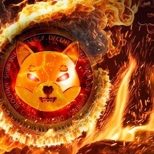 SHIB Burns Jump 309% As 350 Million SHIB Go Up in Flames