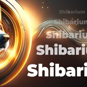 Shibarium Basic Design Explained by SHIB Team Member: Details
