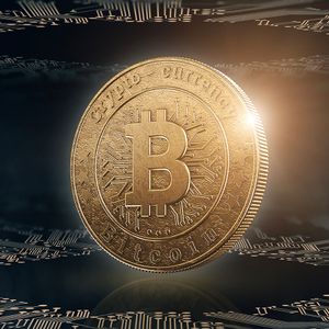 Bitcoin Transaction Fees Plunge 15% This Week Amid Slower Activity