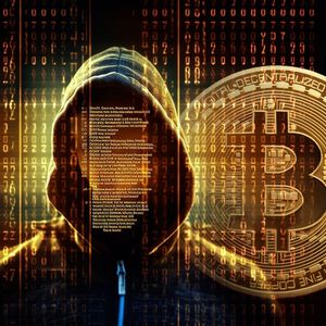 5th Biggest Bitcoin Mysterious Wallet Owner Is Somebody Totally Unexpected: Report