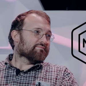 Hoskinson Addresses Cardano NFTs