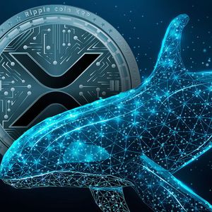 Did Whales Deny XRP's Attempt to Reach New Price Threshold? Data Dive