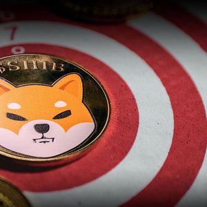 SHIB Scam Alert: Malefactors Managed to Launch X Advertising Campaign