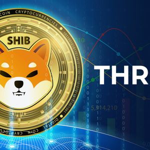 Shiba Inu Team Member Issues Critical Update on TREAT