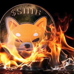 Shibarium Wallets Surpass 1 Million As Millions of SHIB Go Up in Flames