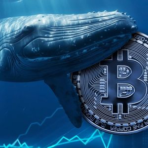 Top BTC Whales Set Three-Year Record: Details