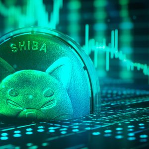 Big Shiba Inu (SHIB) Transactions Skyrocket by 335% with 2 Million Shibarium Wallets in Sight