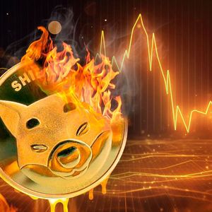 SHIB Burn Rate Shows Mysterious Plunge Despite Recent Statements from SHIB Team