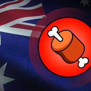 BONE Listed by This Australian Exchange, Here’s What Price Does