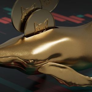 Whales Hoover Up 14.6 Trillion SHIB Tokens—What Do They Know That We Don't?