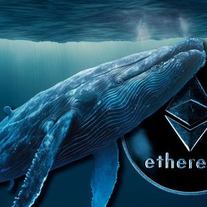 Whale Buys 19,508 ETH In Last Two Days, Buying the Dip or Insider Trading?