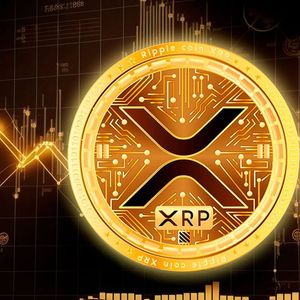 XRP Trading Volume in August Left Competitors in the Dust