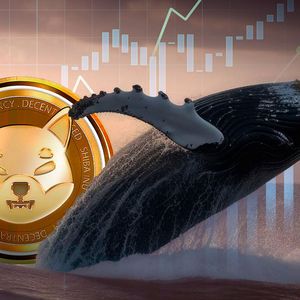 Shiba Inu (SHIB) Up 500% In Whales Transactions: What's Happening?