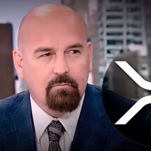 Ripple Lawsuit Affected XRP Adoption, Crypto Lawyer Explains How