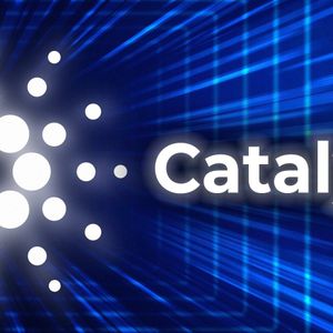 Cardano Catalyst Is Being Heavily Manipulated, Here's How