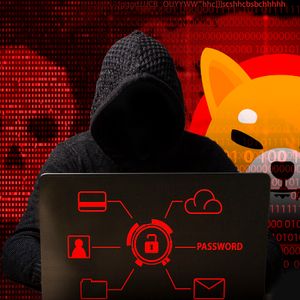Shiba Inu Blockchain Faces Scam Attack: Shibarium Lead Makes Explosive Revelation