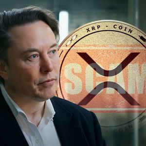 Elon Musk Under Fire for Allowing XRP Scam Posts to Proliferate