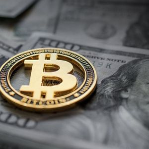 Bitcoin User Just Paid Half a Million Dollars for a Single Transaction