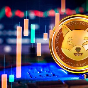 Shiba Inu (SHIB) Crucial Metric Goes Up Despite Price Plummeting
