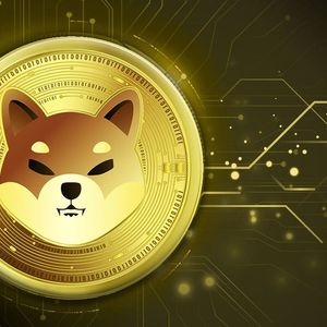 Shiba Inu (SHIB) Flashes These 3 Signs to Prove Price Slump is Transient