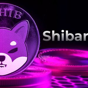 Shiba Inu (SHIB) Revolution: Shibarium Nodes Provider Unleashes Ambitious Plans