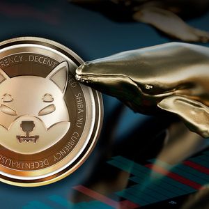 29.2 Billion SHIB Bought and Sold by Whales As Shibarium Hits New ATH