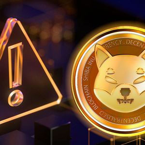 SHIB Member Issues Major Warning to Community: Details
