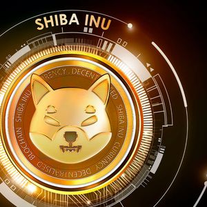 Shiba Inu (SHIB) May Hit Roadblock Soon, But Here's the Play