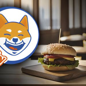 Shiba Inu (SHIB) Partner Welly's Boasts Major Upgrade