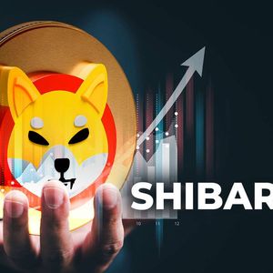 Shiba Inu's Explosive Growth: Shibarium Metric Surges 633% in a Day