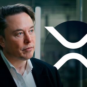 Elon Musk Provokes XRP Army’ s Heated Reaction With His New Tweet