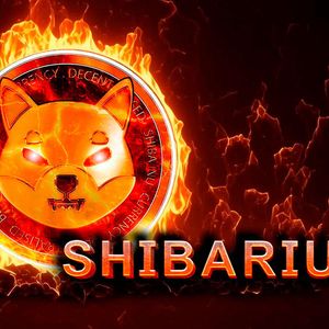 Shibarium-Based SHIB Burns: New Mega-Important Upgrade Revealed