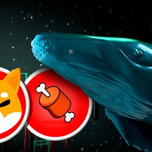 Shiba Inu’s BONE Attracts Dormant Whale, Leading to a Quarter Million Investment