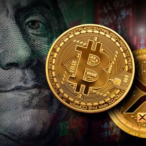 Quarter Billion TUSD Surprise During Crypto Massacre: BTC, XRP, and Others Plummet