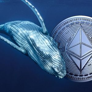 Massive Ethereum Whale Continues To Sell, Shifting 5040 ETH