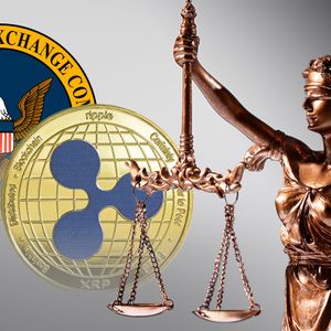 Ripple v. SEC: XRP Lawyer Exposes SEC's Desperation in Appeal Strategies