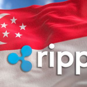 Ripple Bags License to Operate in Singapore