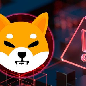SHIB Team Issues Major Warning to Community, Here’s Danger