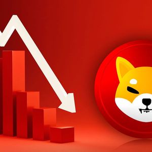 This Shiba Inu (SHIB) Metric Plummets Massively: What's Wrong?