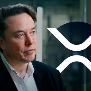 Elon Musk's Tweet Sparks Enthusiasm of XRP Community: Details