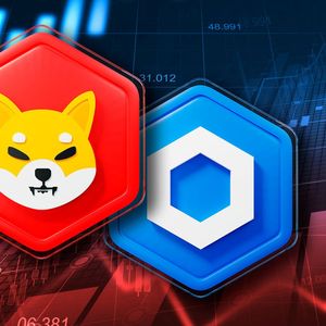 Shiba Inu (SHIB) Loses Place in Ranking With Chainlink, Possible Reasons