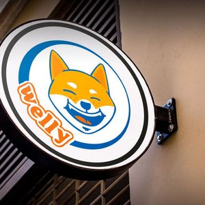 Shiba Inu (SHIB) Lead Responds to Welly’s New Launch