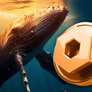 ChainLink (LINK) Whales Buying Spree Continues, Here's How Much This One Bought