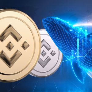 Large Binance Coin (BNB) Whale Activates, Moves Millions: Here's BNB Price Reaction