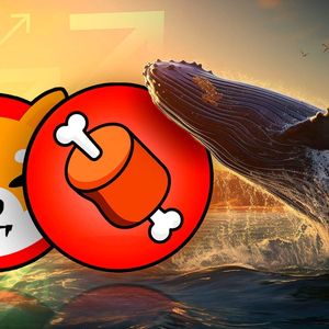 Shiba Inu's BONE Whales Boost Positions by 37% Amid Shibarium Large Network Expansion