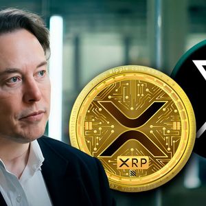 Elon Musk Infects XRP Army With Enthusiasm With His X Post