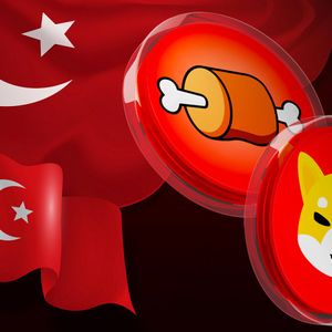 Shiba Inu’s Shibarium and BONE Listed on Prominent Turkish Crypto Platform