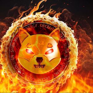 SHIB Burns Rise 100% After Shytoshi Kusama’s Recent Bullish Statement