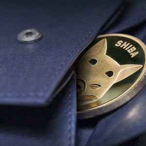 AI Shibarium Project Launches Own Wallet with Shiba Inu’s Key Partner